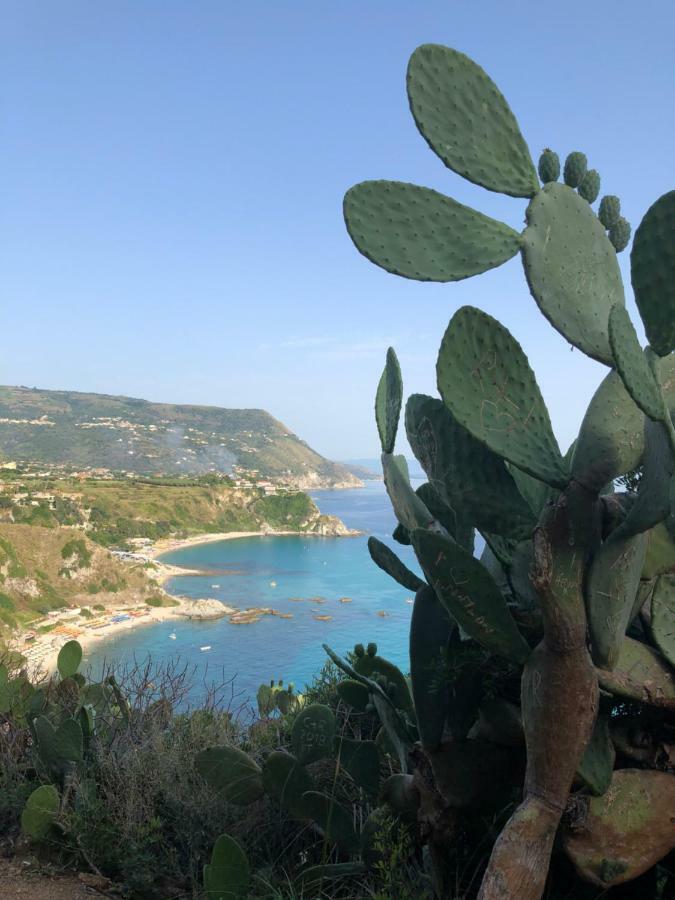 Apartamento La Marinette Tropea Exterior foto